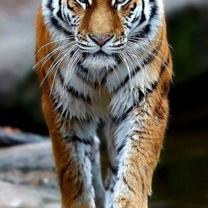 Meet your Posher, Jeff